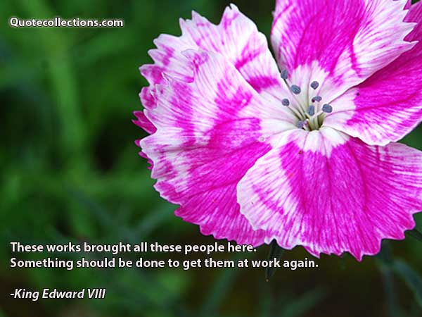 King Edward VIII Quotes4